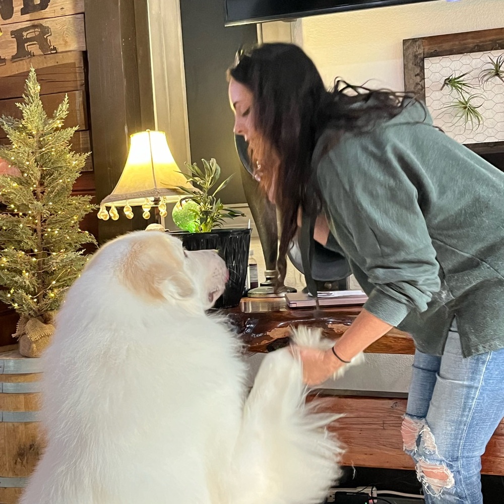 Meet your Posher, Alice